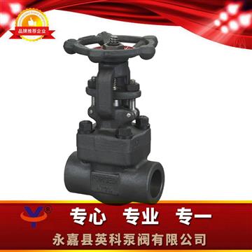 Z61Y䓳в庸ly